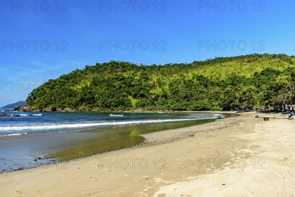 The sea of ??the paradisiacal Bonete beach on the island of Ilhabela on the coast of Sao Paulo,
