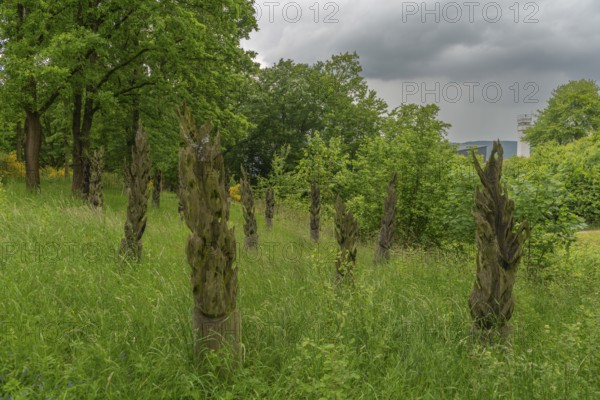 Schifflersgrund border museum memorial on the former border between the FRG and the GDR, Burnt