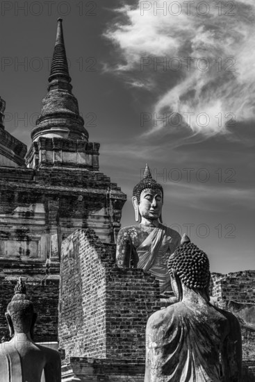 Stone Buddha statues, a temple tower in the back, Prang, historic Buddhist temple complex, black