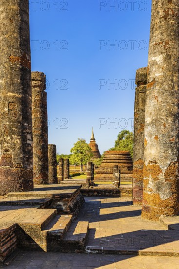 Historic Buddhist temple complex Wat Mahathat, historical park, Sukhothai, Sukhothai province,