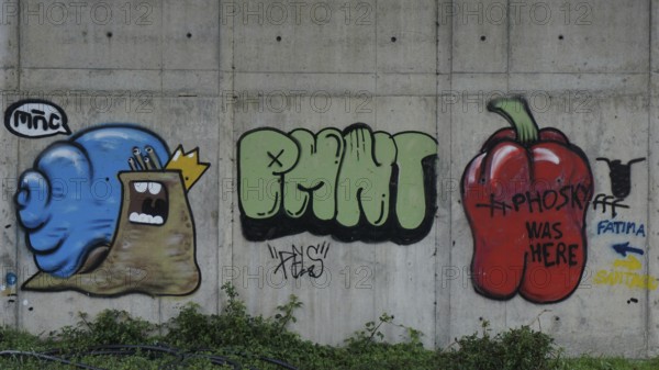 Colourful graffiti of snails and peppers on a concrete wall in an urban setting with Fatima and