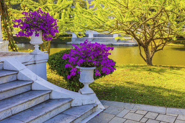 Marble staircase decorated with trophies filled with purple bougainvillea bushes, Thai King's