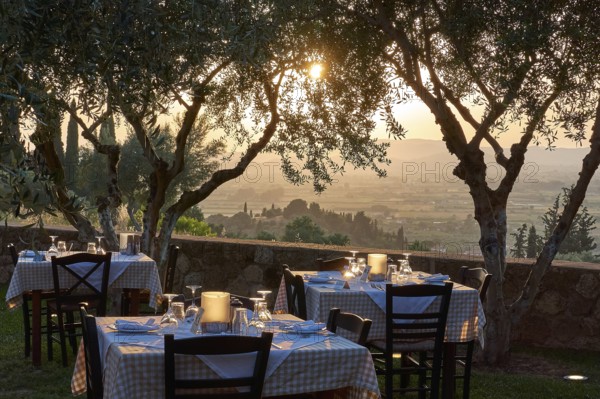 Several tables set under olive trees at sunset with wonderful views, Hotel Europa, garden