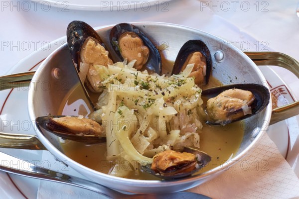 Tasty seafood platter with mussels and aromatic herbs in an elegant restaurant, Hotel Europa,
