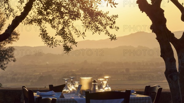 Atmospheric landscape at sunset with focus on a decorated table and olive trees, Hotel Europa,