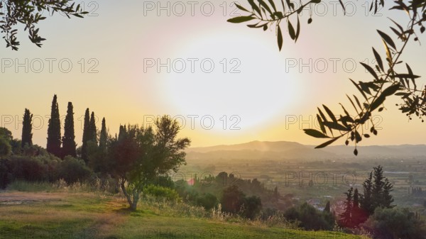 Atmospheric panorama with sunset light over a vast landscape and olive branches in the foreground,