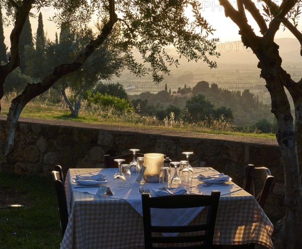 Outdoor table, surrounded by trees, in the warm light of a sunset, Hotel Europa, garden restaurant
