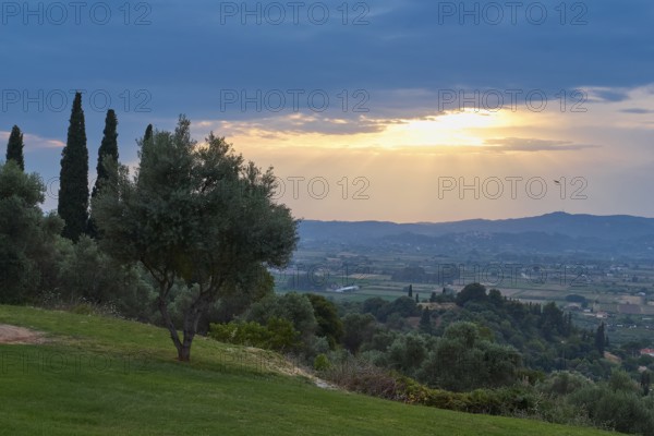 Tree in the foreground, sunset bathes the landscape in warm light, Hotel Europa, garden restaurant