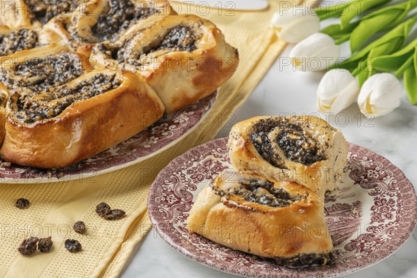 Freshly baked poppy seeds on a plate, next to tulips