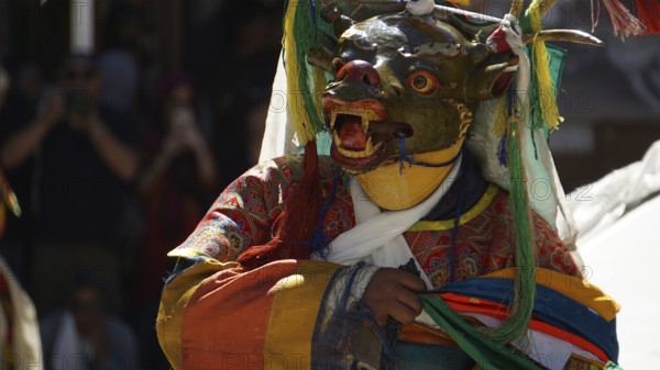 Person in traditional costume with mask dance in festive atmosphere, Leh, trekking in Ladakh,