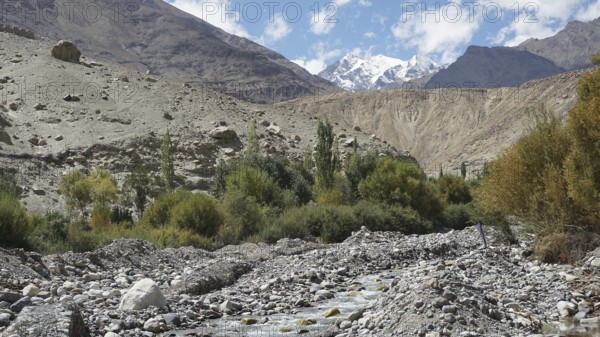 Rocky river through a mountainous landscape with green trees, Nubra Valley, trekking in Ladakh,
