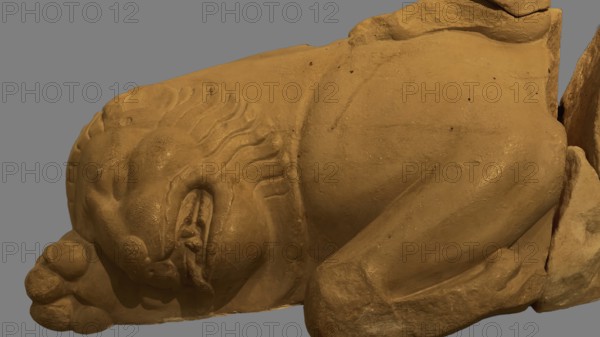 Killed Nemean lion, statue detail of a lying lion, stone texture and fine details, Olympia