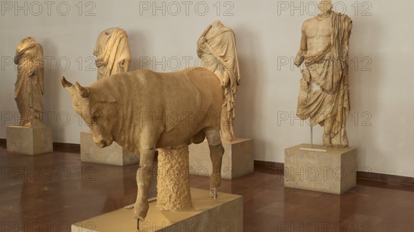 Ancient marble statues, including a bull, on display in a museum hall, Olympia Archaeological
