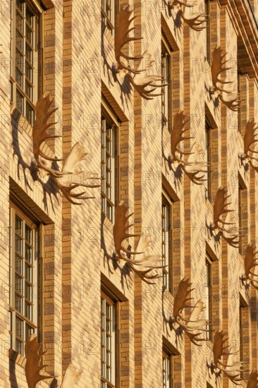 Yellow house, with a water-strewn brick façade and decorated with 52 moose shovels and hunting