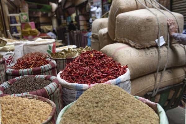 A sack of dried red chilli peppers being sold in the spice market close to Khan El Khalili Bazaar