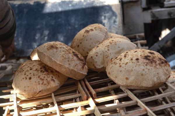 Freshly oven baked traditional Baladi flat bread, similar to pitta bread is a staple of Egyptian