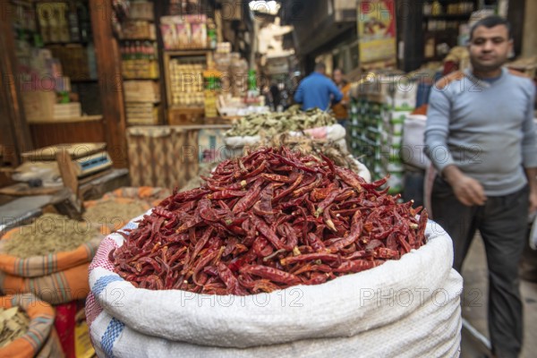 Cairo, Egypt, November 26th 2022 A sack of dried red chilli peppers being sold in the spice market