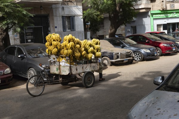 Cairo, Egypt. November 28th 2022 A street stall selling Egyptian bananas, a home grown fruit and
