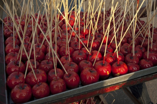 Cairo, Egypt. July 16th 2011 Candy or toffee apples for sale on a Cairo street stall, Egypt