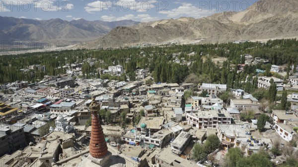 Panoramic view of a mountainous cityscape with green trees, Leh, Ladakh, North India, Himalayas,