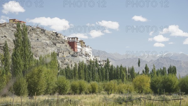Village buildings on a hill with green landscape and mountains under a blue sky, Ladakh, Himalayas,