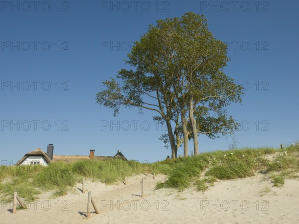 Coastal scene, with a thatched building, Ahrenshoop, Baltic Sea, Vorpommern-Rügen district in
