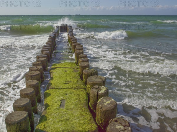 Groves, coastal protection structure, beach, Ahrenshoop, Baltic Sea, Vorpommern-Rügen district in