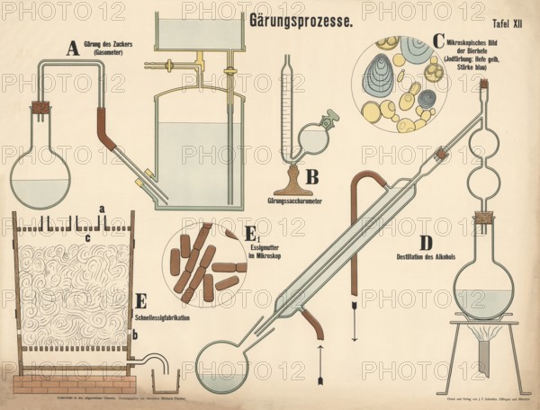 Various chemical devices and microscopic views on the subject of fermentation and distillation,