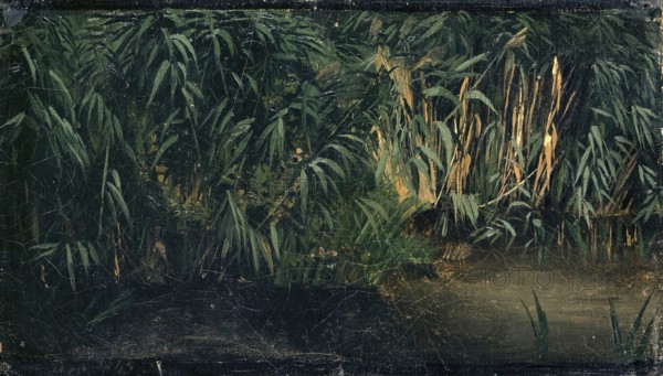 Arnold Böcklin (born 16 October 1827, died January 1901), Swiss painter, draughtsman, graphic