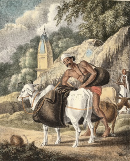 Water seller with water hoses on his way to market, India, authentic, digitally restored
