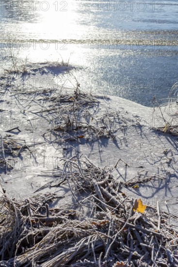 Hoarfrost and ice on the banks of the Elbe, Coswig, Saxony, Germany