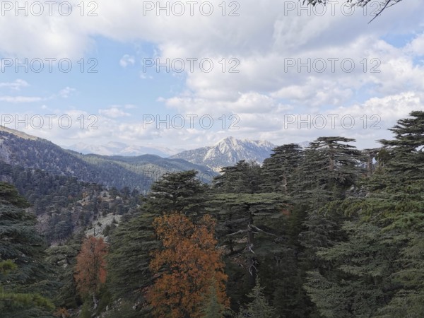 View of Tahtali Dagi over forested mountains under a blue sky with clouds, hiking the Lycian Trail,