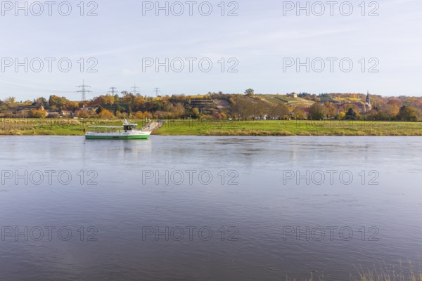 Elbe ferry on the Elbe in Diesbar-Seußlitz, with the autumnal vineyards and palace complex in the