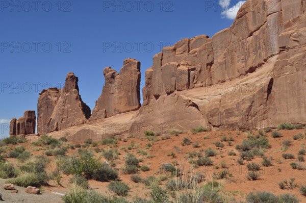 Jagged sandstone formations called Wall Street and sparse vegetation stretch under a clear sky in