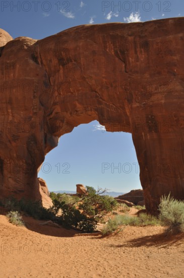 Pine Tree Arch, a large sandstone arch with clear sky in the background, Arches National Park,