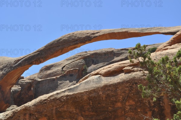 Large stone bridge, called Landscape Arch, in desert landscape with plants, Arches National Park,