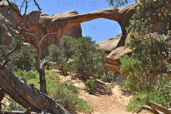 Double O Arch, a rock arch surrounded by vegetation in a dry desert landscape, Arches National
