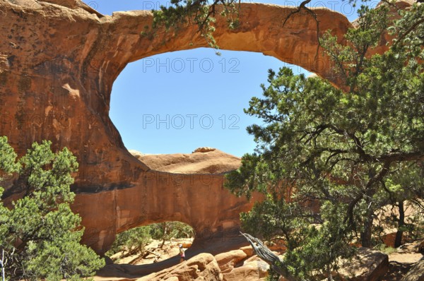 Double O Arch, a sprawling rock arch surrounded by green vegetation under clear skies, Arches
