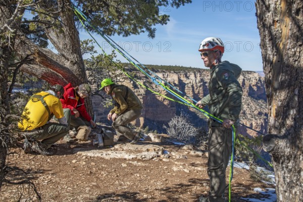 Grand Canyon National Park, Arizona. National Park Service employees practice rescue techniques on