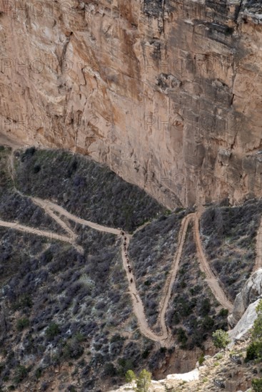 Grand Canyon National Park, Arizona - A mule train heads up the switchbacks on Bright Angel Trail