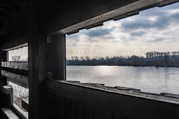 The Bislicher Insel, nature reserve on the Rhine, Altrheinarm, near Xanten, Lower Rhine, Wesel