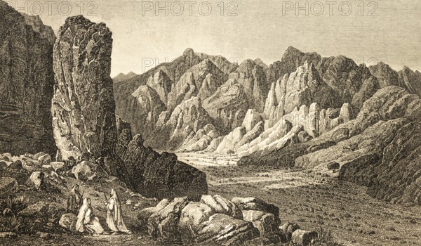 Valley near Watir, Sinai Peninsula, Egypt, valley with date palms, important foodstuff, group of