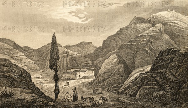 Mountain landscape on Sinai, Egypt, fortress, small herd of goats, shepherd, tree, sparse