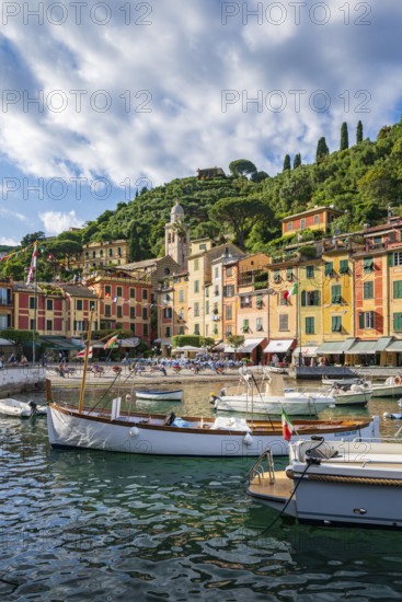 Boats in Portofino Harbour, Portofino, Liguria, Italy