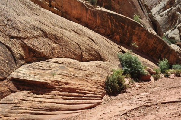 Red rock with distinctive red layers and low vegetation, Capitol Reef National Park, Utha, USA