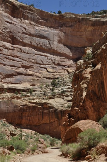 Gravel road through an imposing canyon with overwhelming red rock walls and deep shade, Capitol