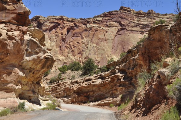Narrow road through a canyon with impressive red cliffs and clear skies, Capitol Reef National