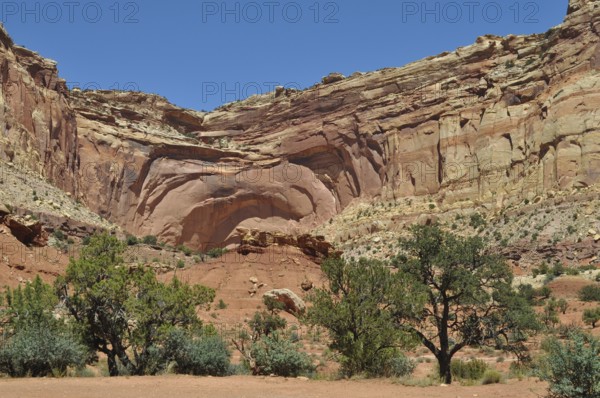 Sublime red canyon wall with trees in the dry, vast desert landscape, Capitol Reef National Park,
