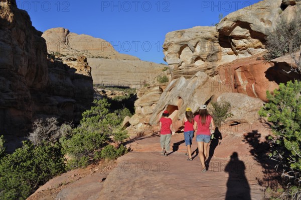 Hikers in summer desert landscape surrounded by red rocks and scattered vegetation, Capitol Reef
