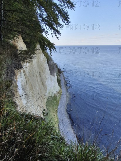 Steep chalk cliffs by the sea with vegetation and blue sky, Jasmund National Park, Rügen, Baltic